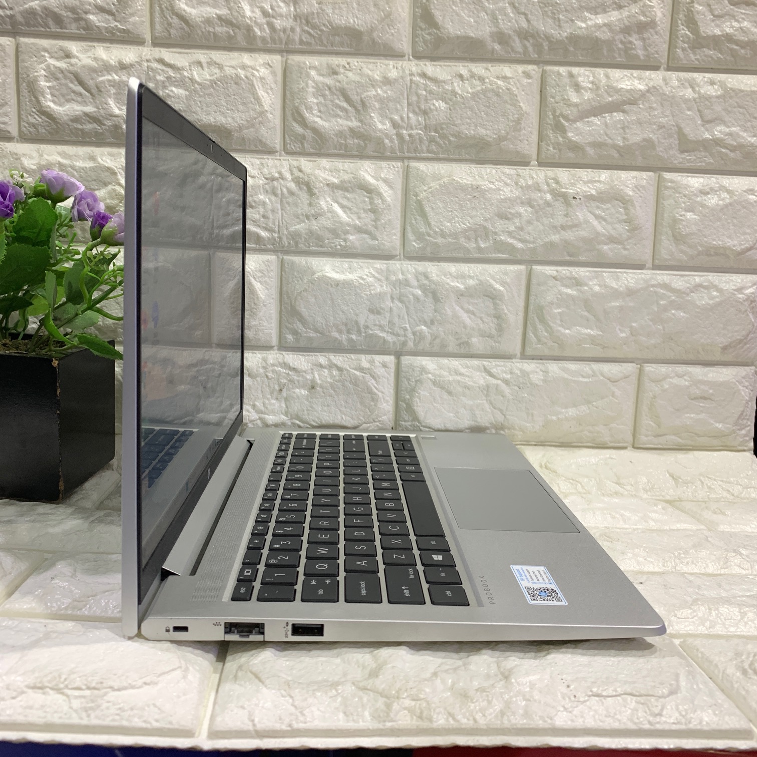 HP ProBook 445 G8 · Ryzen 5 / 8GB / 512GB
